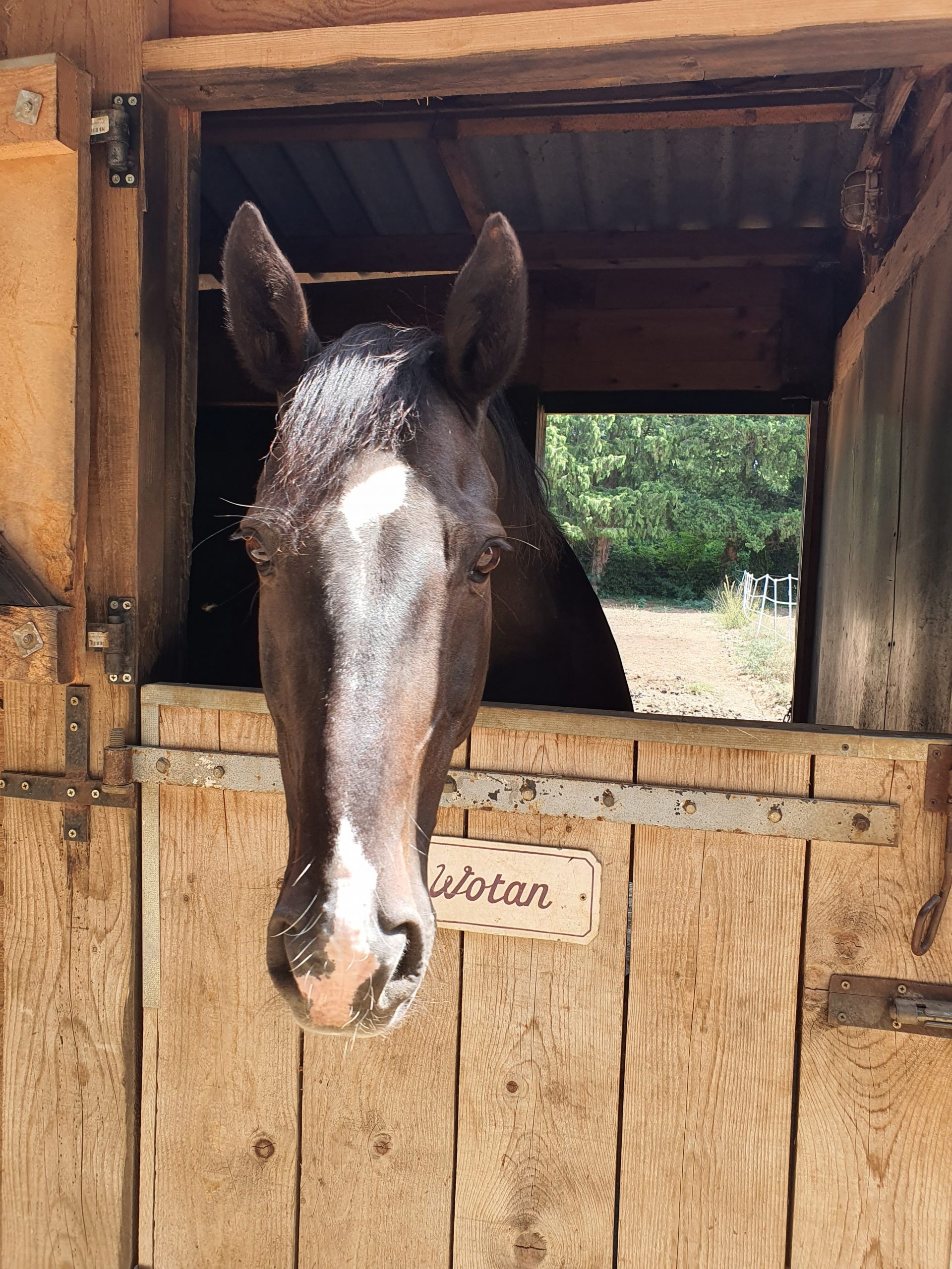 WOTAN