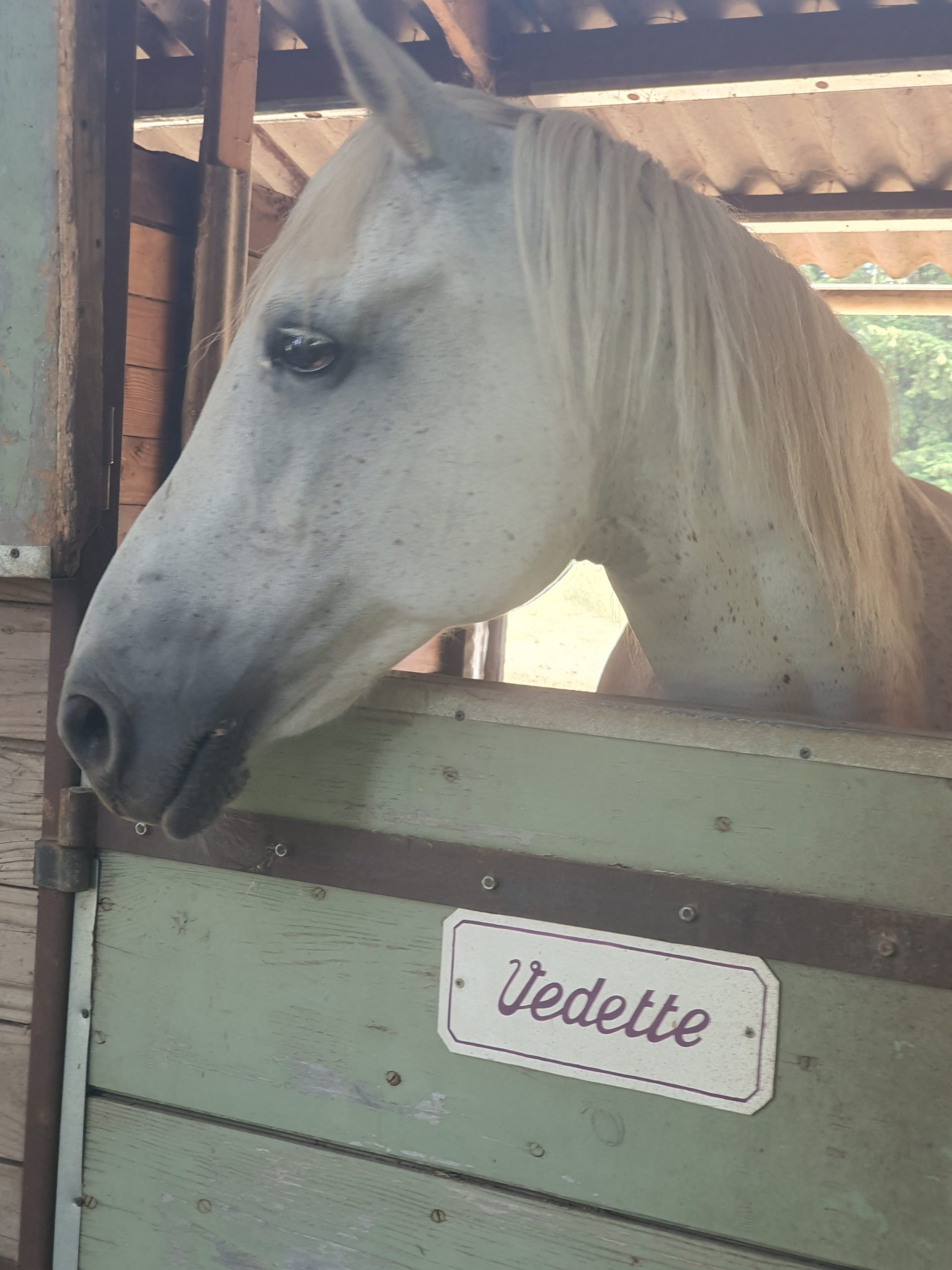vedette